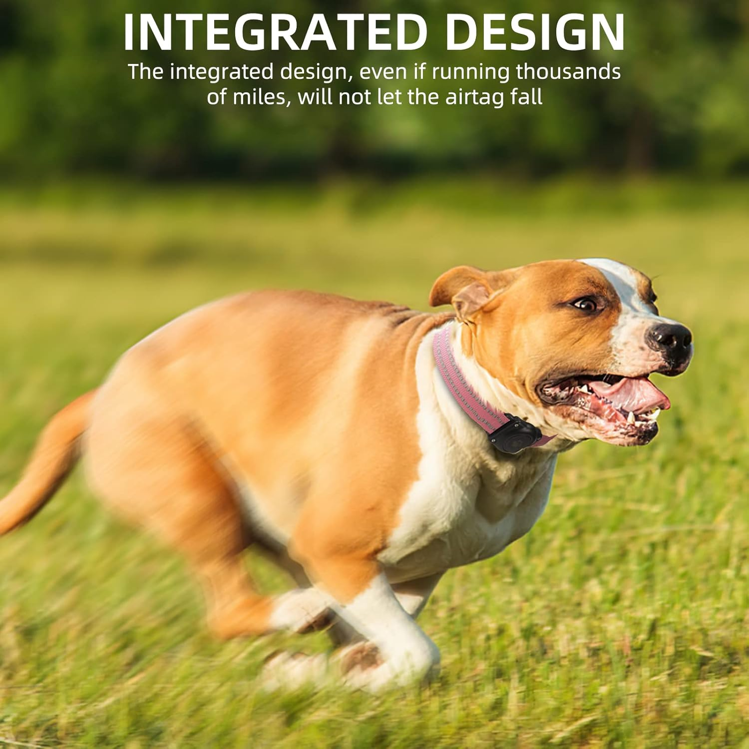 Airtag Dog Collar, 100% Waterproof Integrated Apple Air Tag Dog Collars, Reflective GPS Dog Collar with Hard PC Airtag Holder Case for Small Medium Large Dog (Pink) image number 6