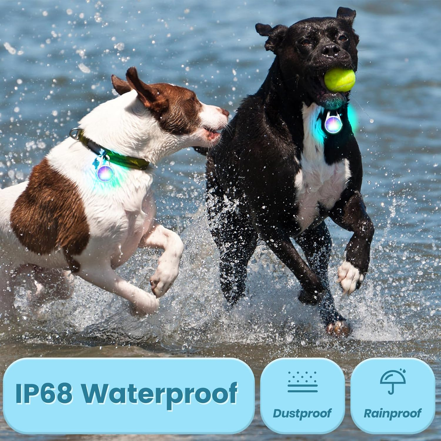 POEEY Dog Lights 2Pack LED Rechargeable Dog Collar Lights Clip on with RGB Color Pet Safety Lights Light up Lighted Dog Harness Light for Night Walking Camping, White, PE-002