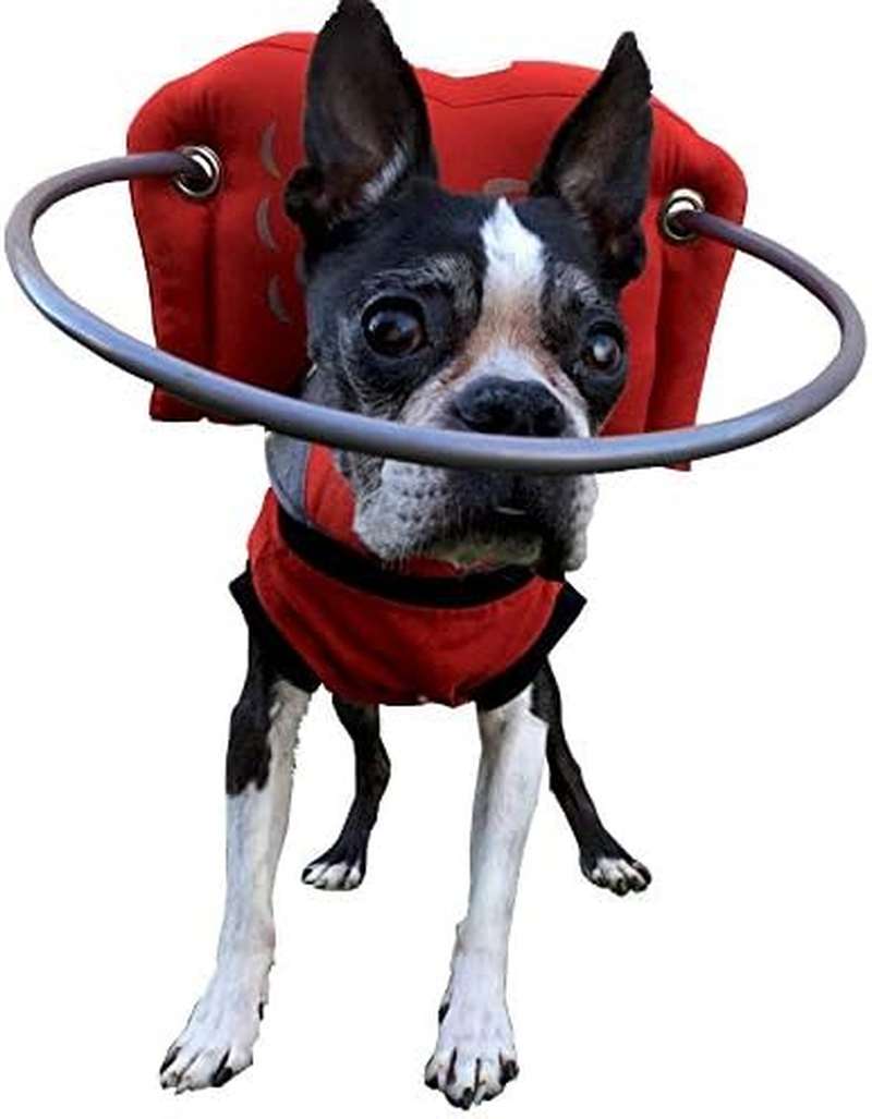 Muffin'S Halo Guide, 1X-Large, Durable Safeguard for Blind Dog'S Head, Nose, Face and Shoulders from Bumping into Hard Surfaces