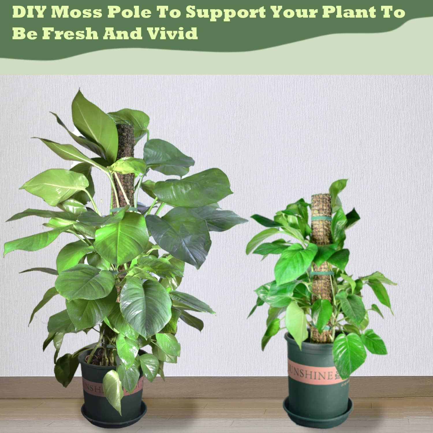 Moss Pole DIY Kit, Moss Pole for Plants Monstera, 8.3In&times;13.2Ft Steel Moss Pole Mesh with Plier, Cable Zip Ties, Max 7Pcs 23" Sphagnum Moss Pole, Mesh Moss Pole with Different Height - 13.2Ft Wire Mesh image number 6