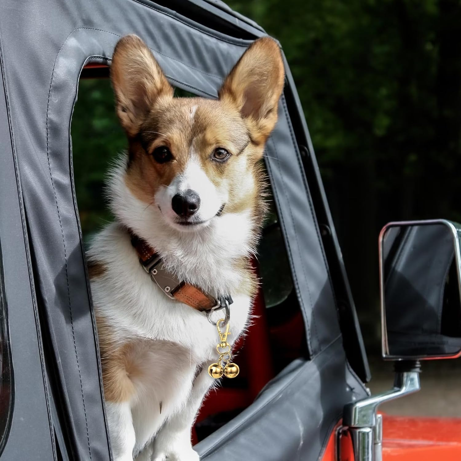 Fokmuaex 4 Pcs Pet Bells for Dog Cat - Gold & Silver Training Bells, Decorative Charm Pendants Jewelry for Pet Necklace Collar Accessories image number 1