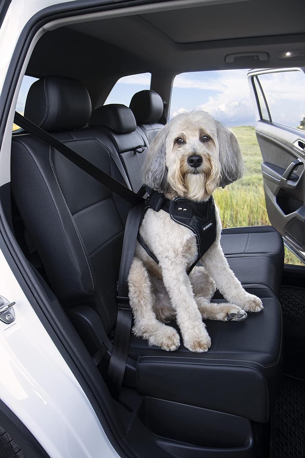 Sherpa Crash-Tested Multipurpose Seatbelt Dog Harness - Black, Large image number 3