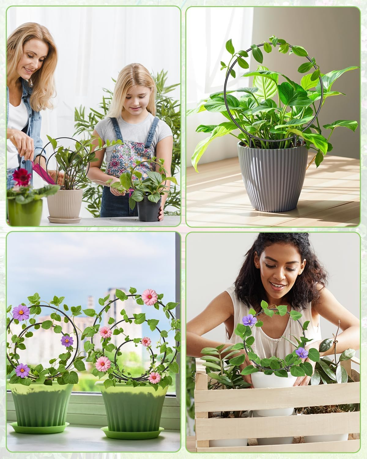 Round Plant Trellis Support Stakes, 3 Pieces, Black, Multiple Sizes for Indoor Climbing Plants,Unique round Hoya Trellis, Different Size Houseplant Trellis for Indoor Climbing Plant,Black image number 2