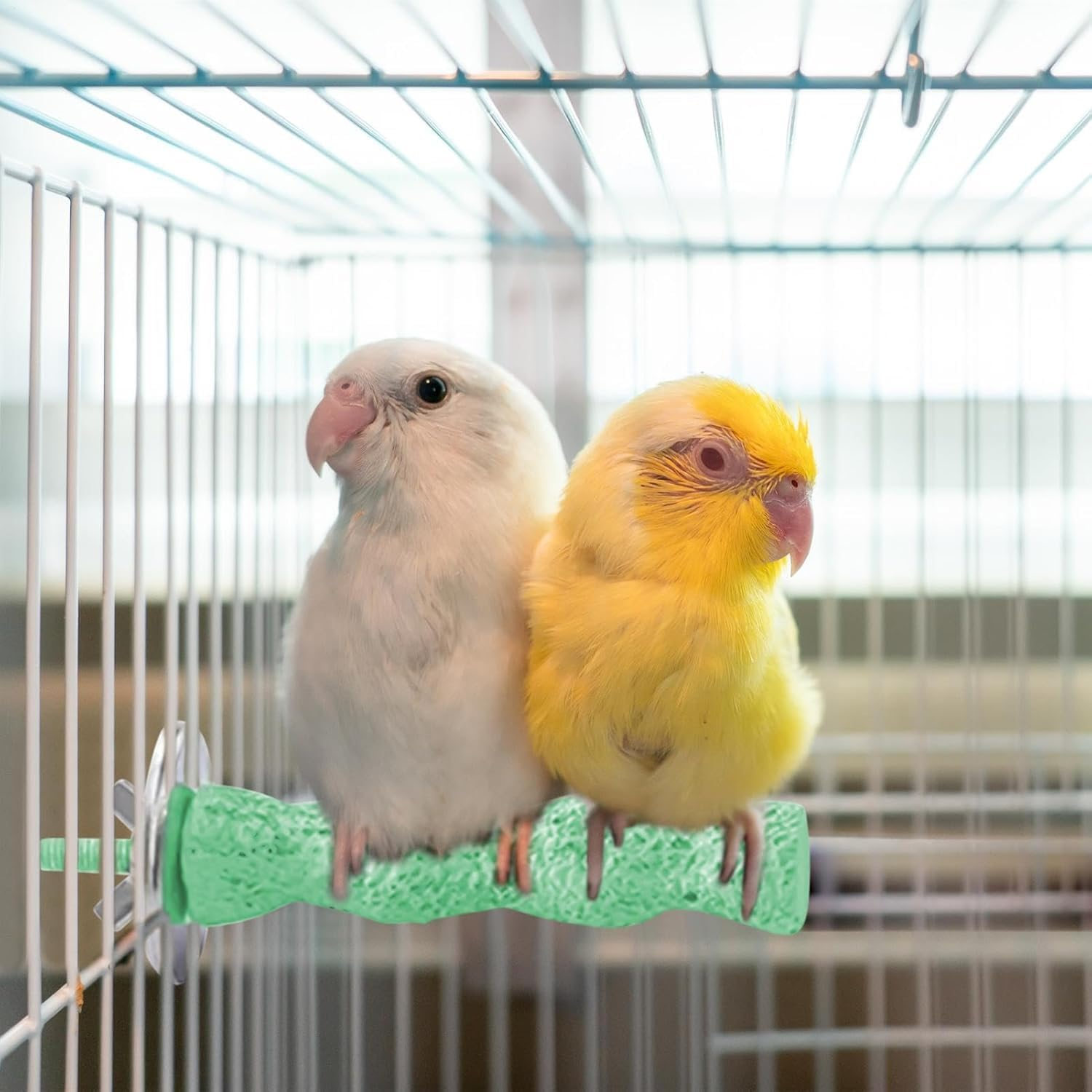 Ksngtixe 1PC Bird Perch Stand for Small Birds - Natural Wood Cage Perch for Budgies, Parakeets, Lovebirds & Conures, Training Exercise & Paw Grinding Chew Toy image number 4