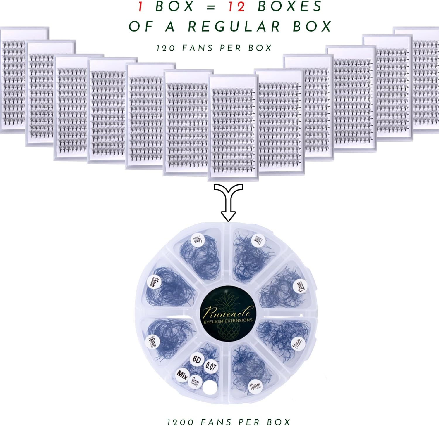 1200 Premade 6D Volume Fans Eyelash Extension | 8 Sizes-In-1 round Mixed Box | Length 9Mm-16Mm | C, CC, D, M & L Curl | 0.07| for Professional Lash Artists | Handmade Promade Eyelashes Fans by Pinneacle (D Curl) image number 1