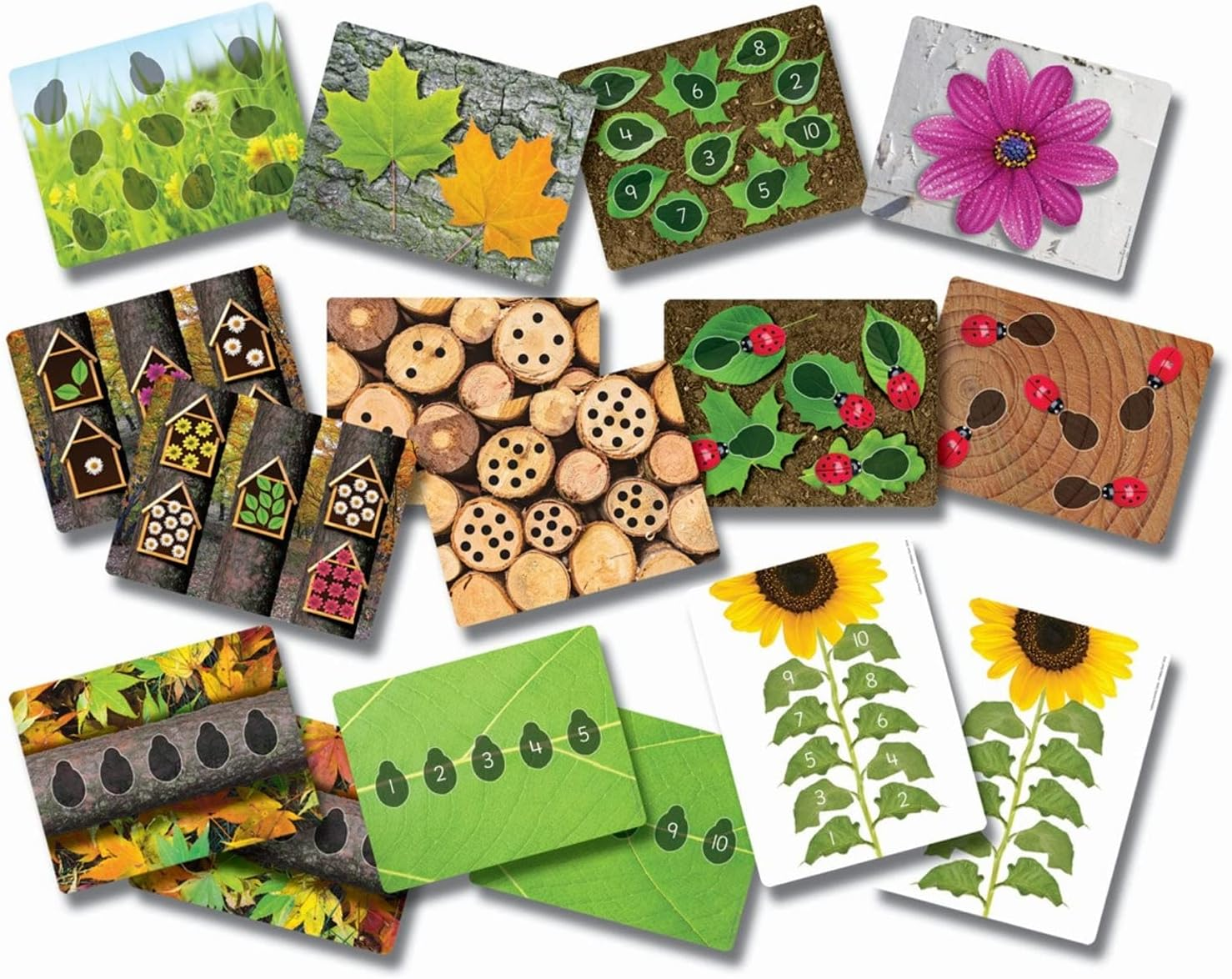 Ladybugs Early Number Cards image number 2