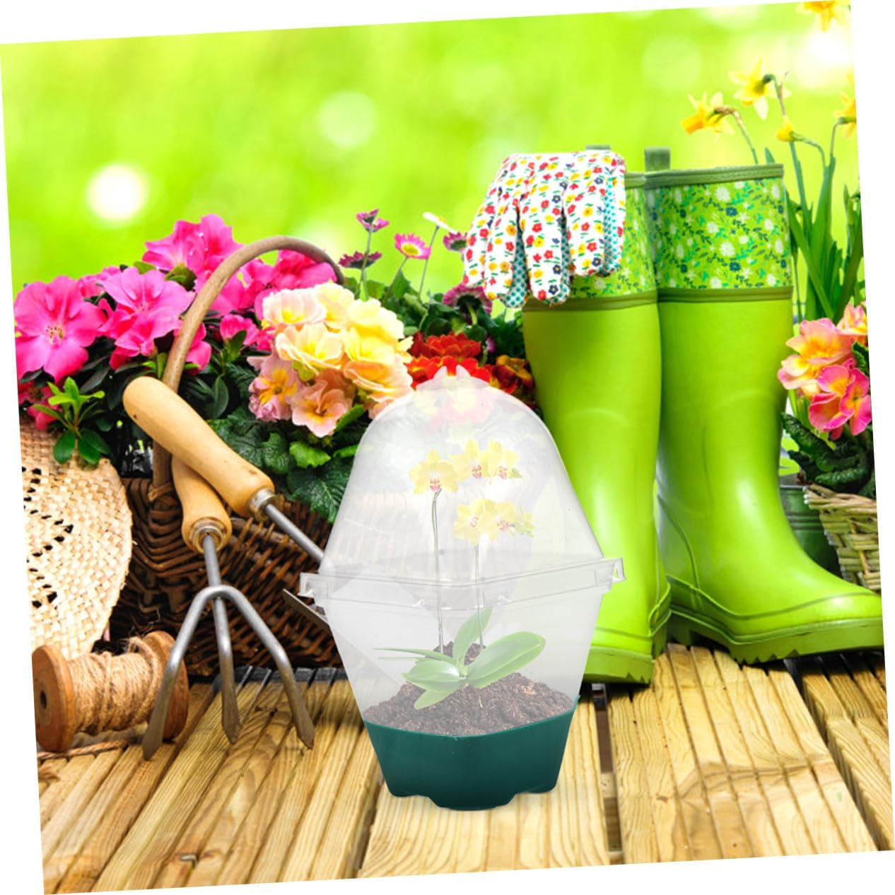 SUPVOX 6Pcs Seedling Tray Humidity Dome Small Reusable Plant Pots for Indoor Gardening Supplies Starter Pots for Plants image number 3