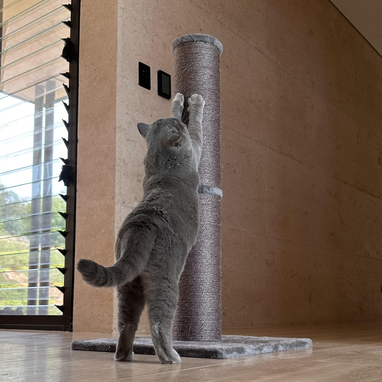 Cattitude Cat Scratch Post Big N Tall, Grey, 94Cm Height - Cat Kitten Scratcher Play Tower, Sisal image number 1