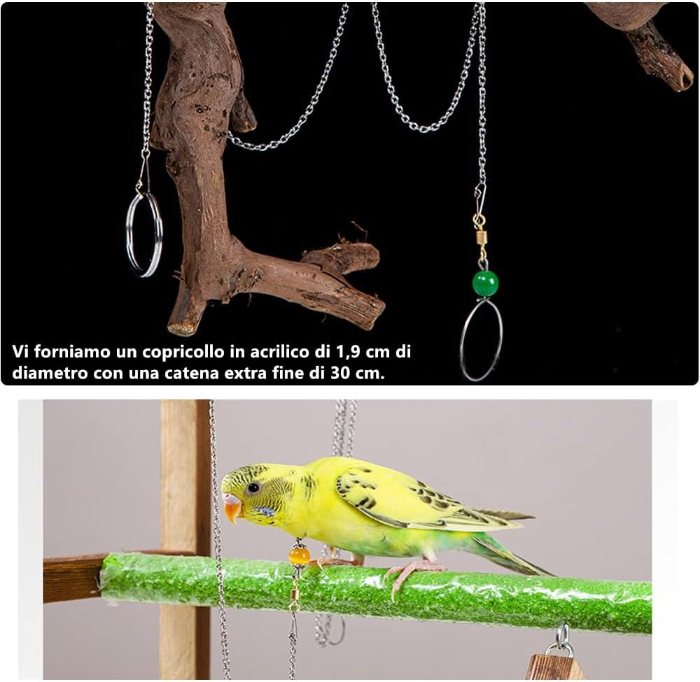 Norhogo Pack of 5 20 Cm Parrot Perches Natural Paw Bows Toy for Parrots Bird Chew Toy Comes with a Parrot Collar, Random Colour
