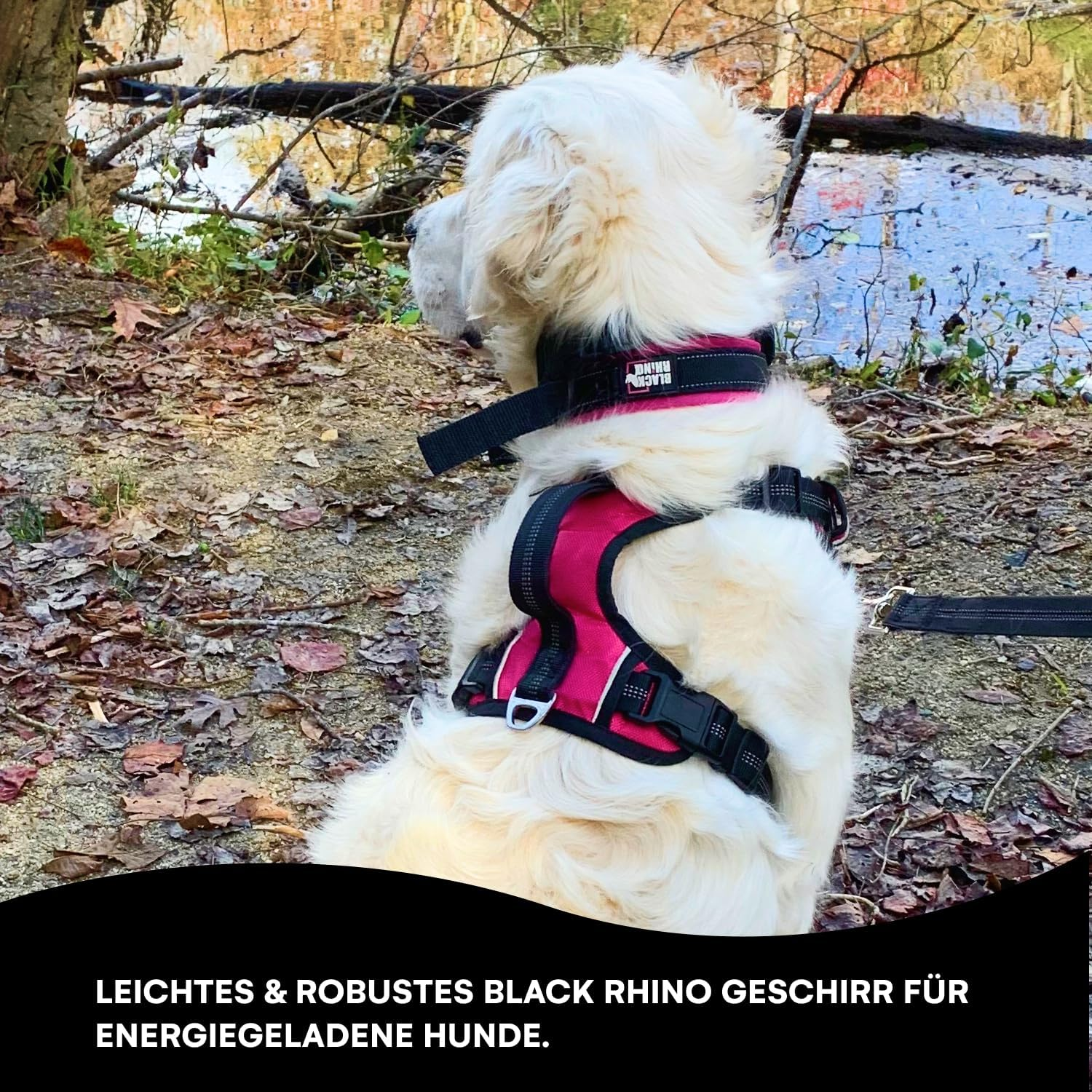Black Rhino - the Comfort Dog Harness with Mesh Padded Vest for Small - Large Breeds | Adjustable | Reflective | 2 Leash Attachments on Chest & Back - Neoprene Padded Training Handle (Medium, Pink/Bl) image number 1