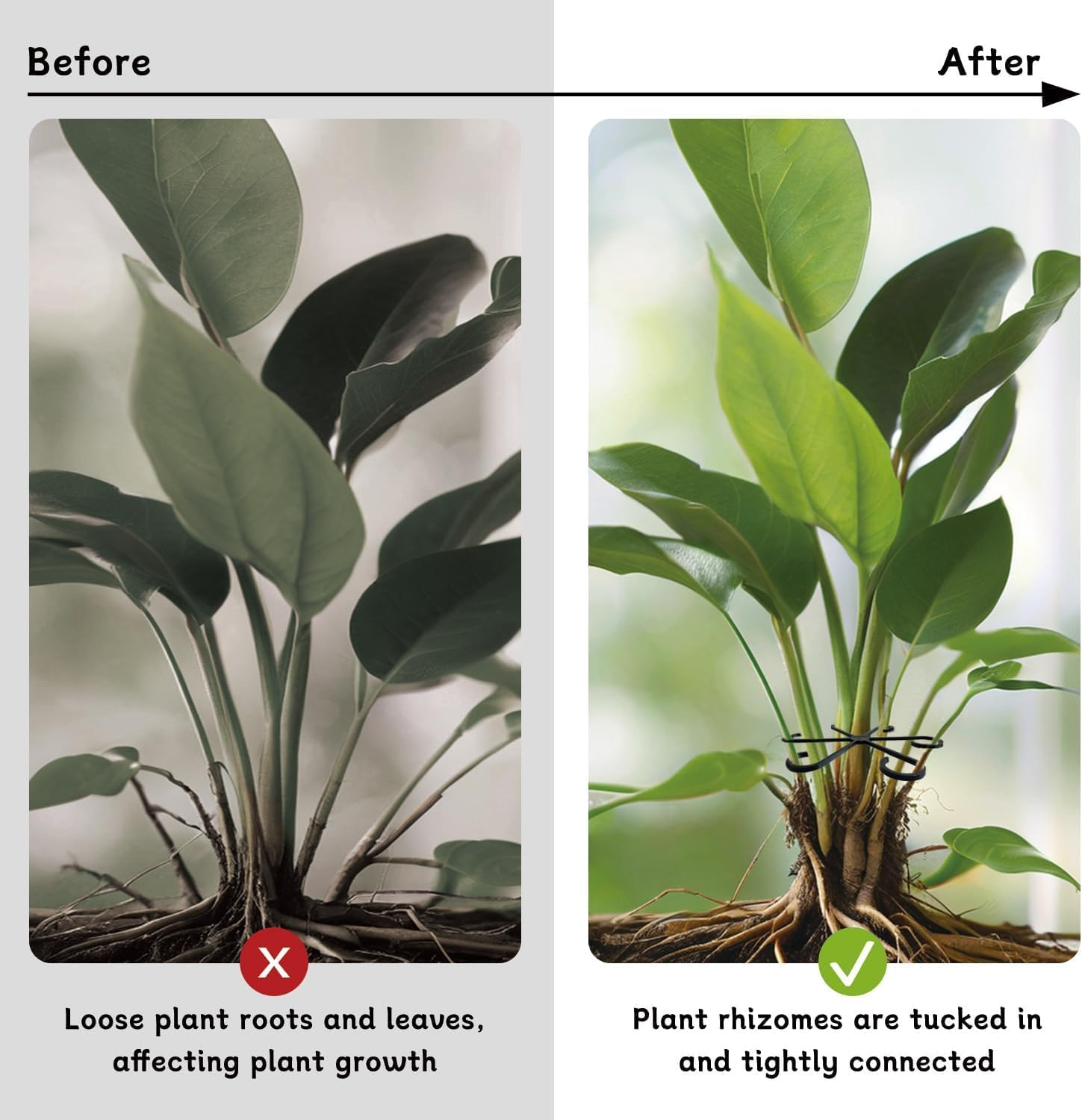 WADY Plant Stem Holder, Pack of 4 Plant Support, Climbing Indoor Plant Trunk Support, Vine Support Clips for for Plants, so You Grow Upright and Become Healthier (Green) image number 3