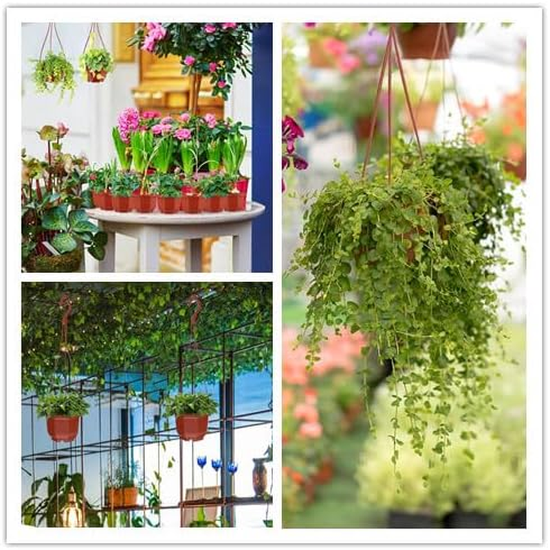 10 Sets of Octagonal Plant Hanging Flower Pots, Plastic Hanging Planters with Drainage Holes and Hooks, for Garden Balcony Decoration (Brown) image number 1