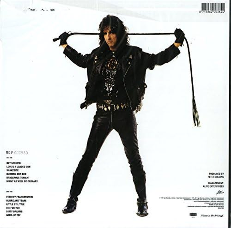 Hey Stoopid image number 1