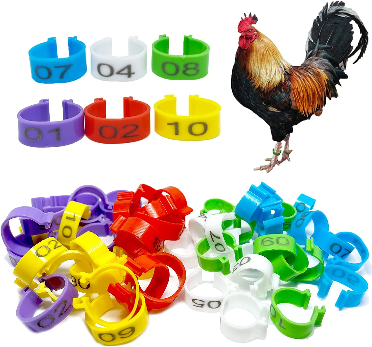60PCS Numbered Chicken Leg Rings, 16 Mm, 20 Mm 6 Color 2 Sizes Clip-On Plastic round Identificaiton Tags Foot Loop Band, for Ducks, Seafige, Goose Wild Poultry, Turkeys