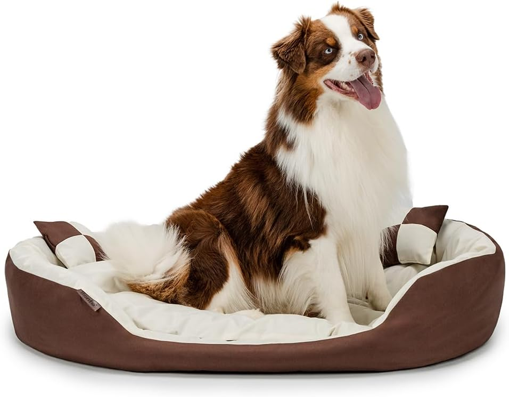 Dibea Warm Basket Tearproof/Waterproof Cushion Dog/Cat Bed with Pillow, 65 X 50 X 20 Cm, Black/Brown image number 4