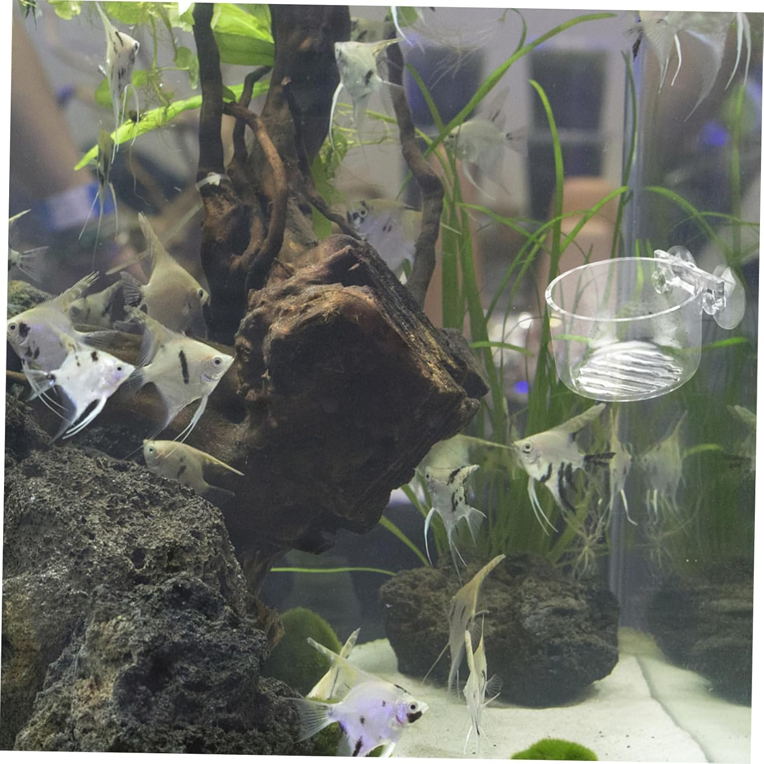 VILLFUL 2Pcs Acrylic Aquarium Feeding Cup Floating Fish Feeder Red Worms Food Holder Fish Tank Aquatic Supplies Automatic PET Feeder Equipment image number 4