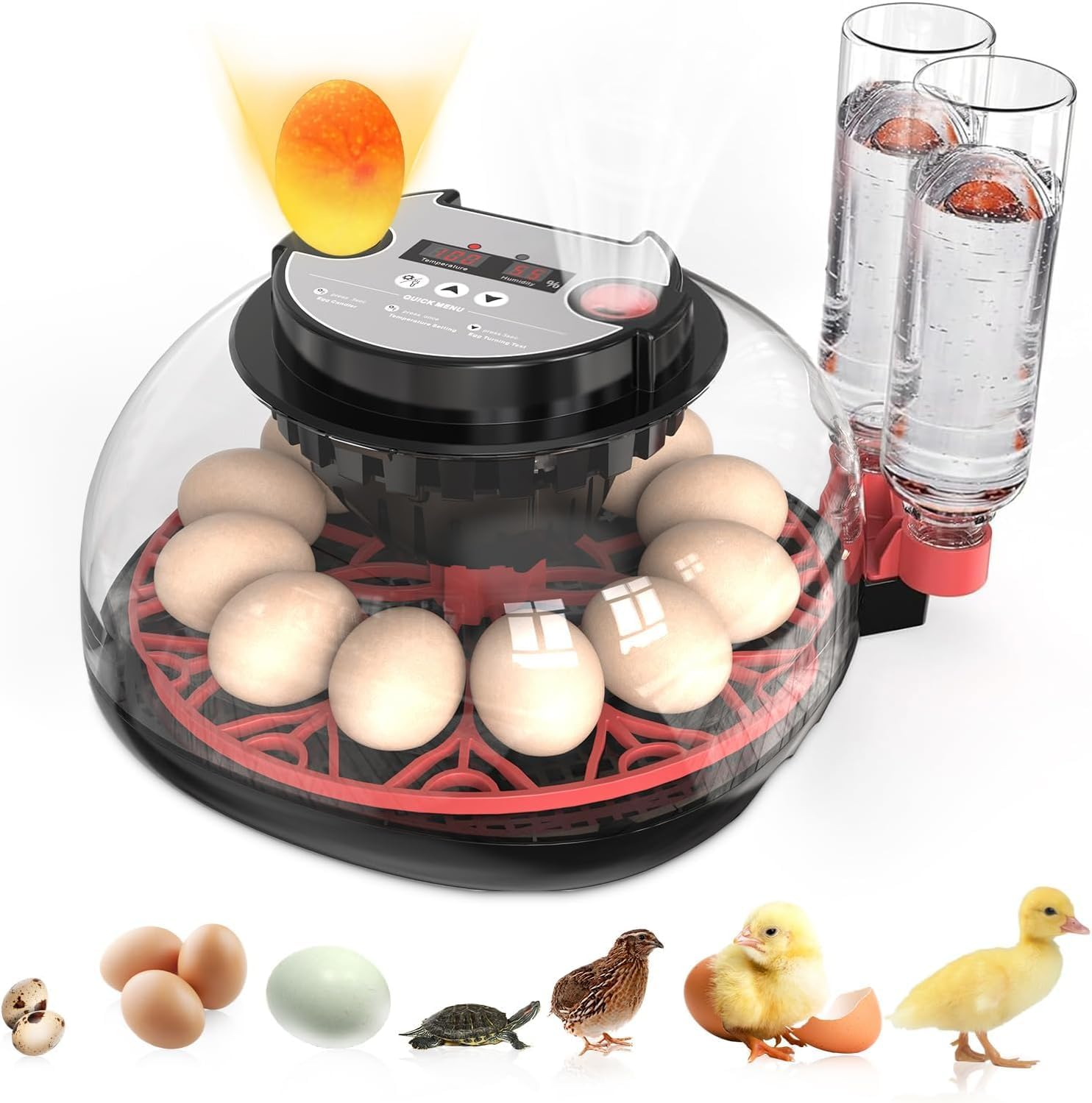 12 Egg Incubator with Humidity Temperature Display, Egg Candler, Automatic Turner, for Hatching Chickens,Chicken Incubator (Black)