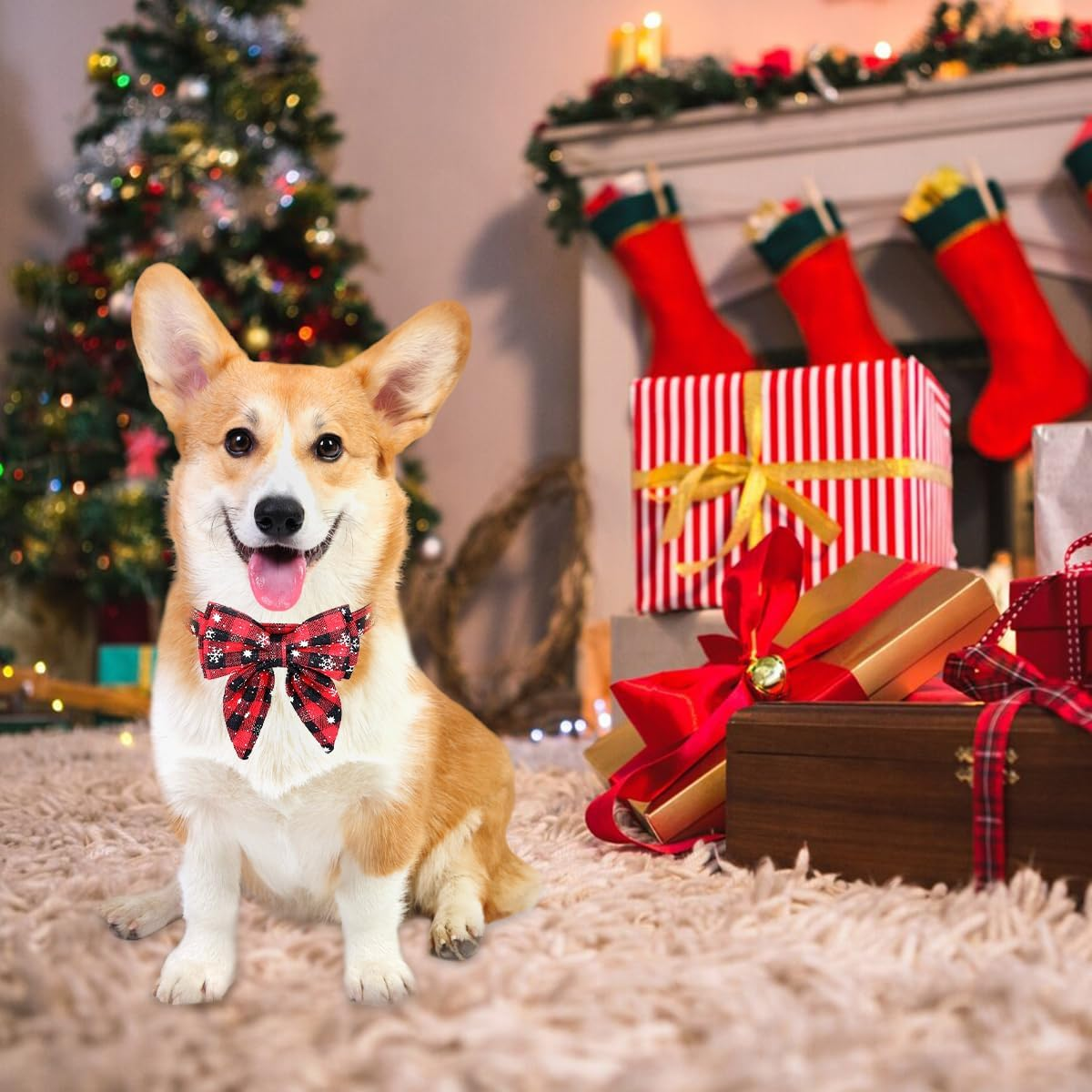 Christmas Dog Collar, Christmas Collar Dog, Cat Collar with Bow, Bow Tie for Dogs, Cute Checked Pattern, Dog Christmas Costume, Pet Collar for Kittens and Dogs (S) image number 6