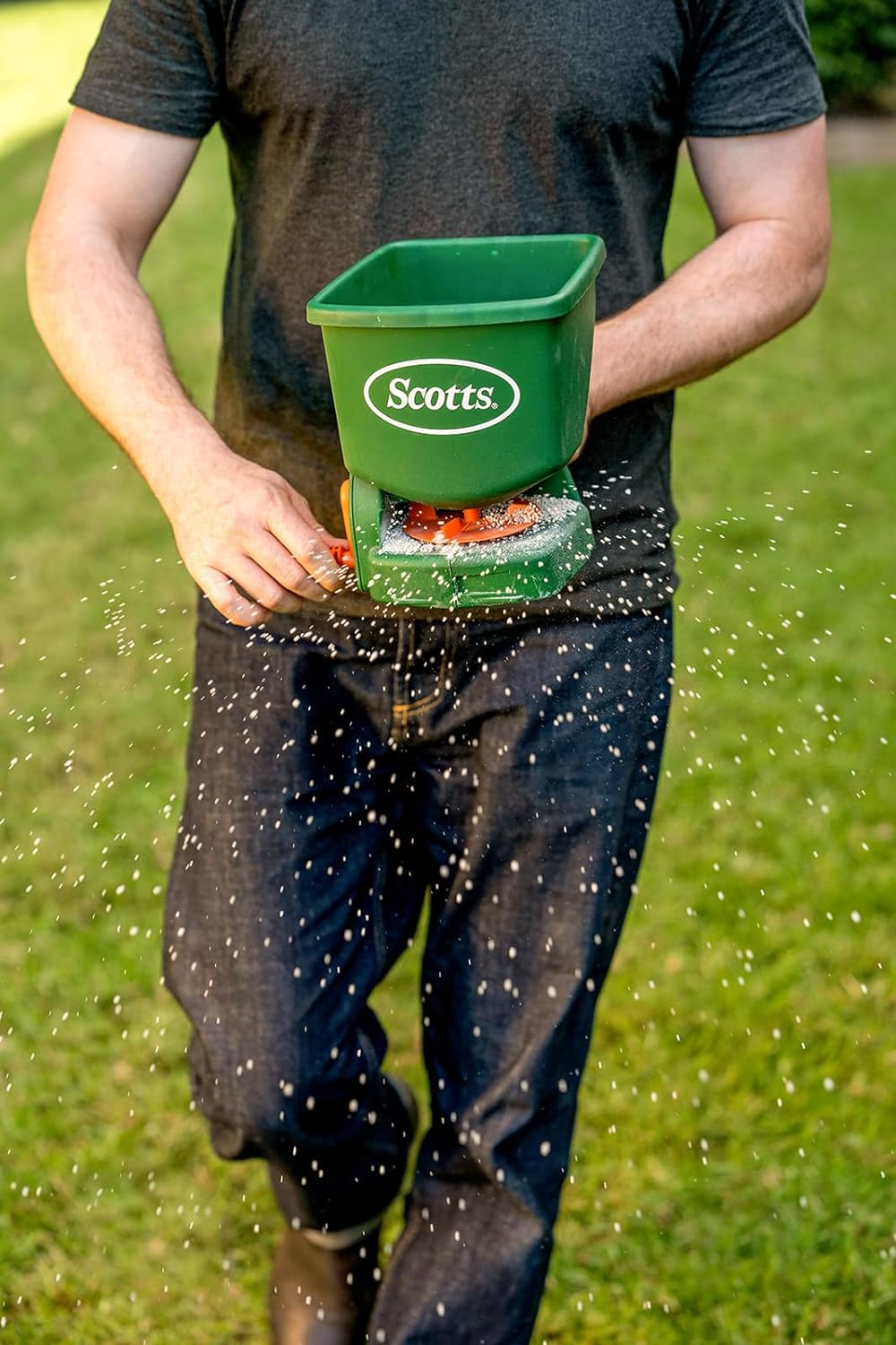 Scotts Lawn Builder - Premium Slow Release Lawn Fertiliser 2.5Kg - 3 Months Feed - Thicker Lawn with No Scorch Formula - Child and Pet Friendly image number 3