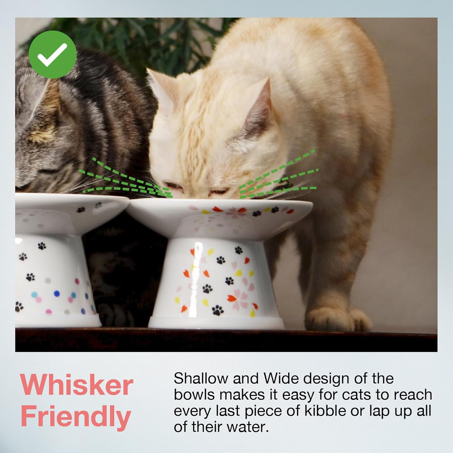 Necoichi Extra Wide Raised Cat Food Bowl (Sakura Limited Edition, Extra Wide) image number 2