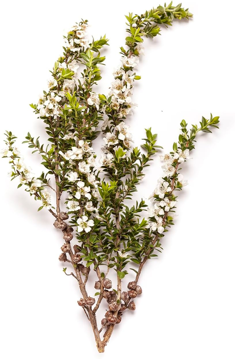 BONDI WASH Hand Wash (Lemon Tea Tree & Mandarin) 500Ml/16.9Oz image number 2