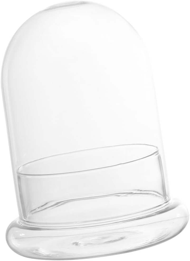 Glass Terrarium Cloche Clear Glass Dome Micro Landscaping Container, Ecological Bottle Display Case for Plants Succulents Moss image number 5