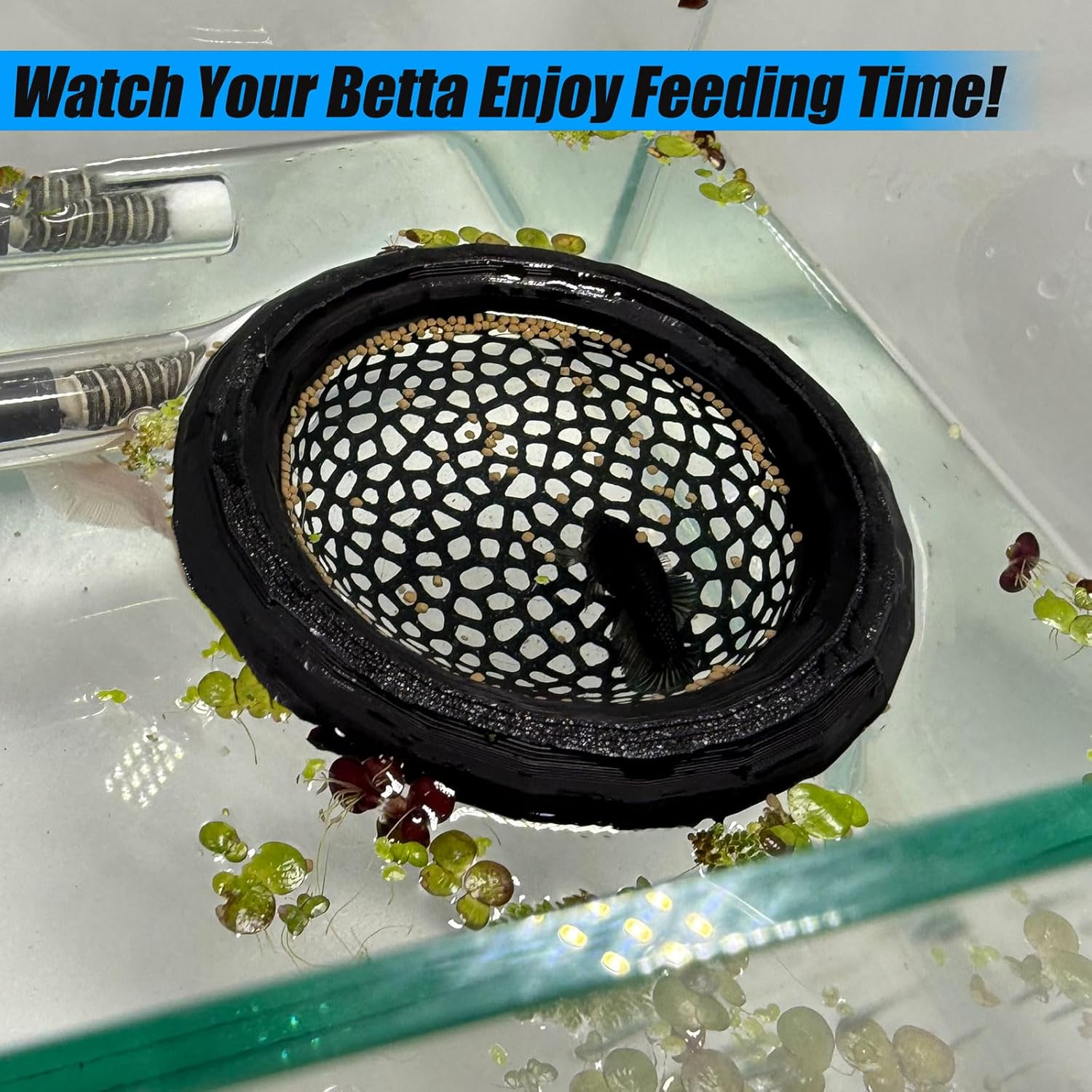 Aquarium Floating Betta Fish Skins, Betta or Shrimp Feeder, Cave and Hammock, Small Fish Feeding Rings, Aquarium Hiding Feeding Decorative Accessories (Green) image number 4