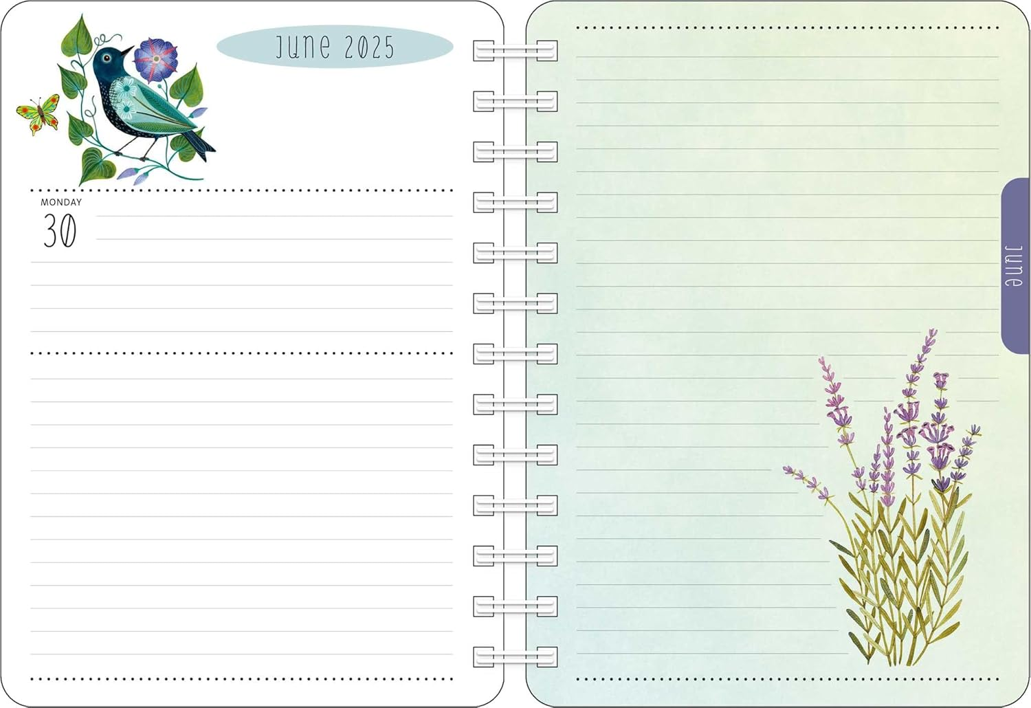 Birds of a Feather 2025 Weekly Planner Calendar: Watercolor Bird Illustrations by Geninne Zlatkis image number 1