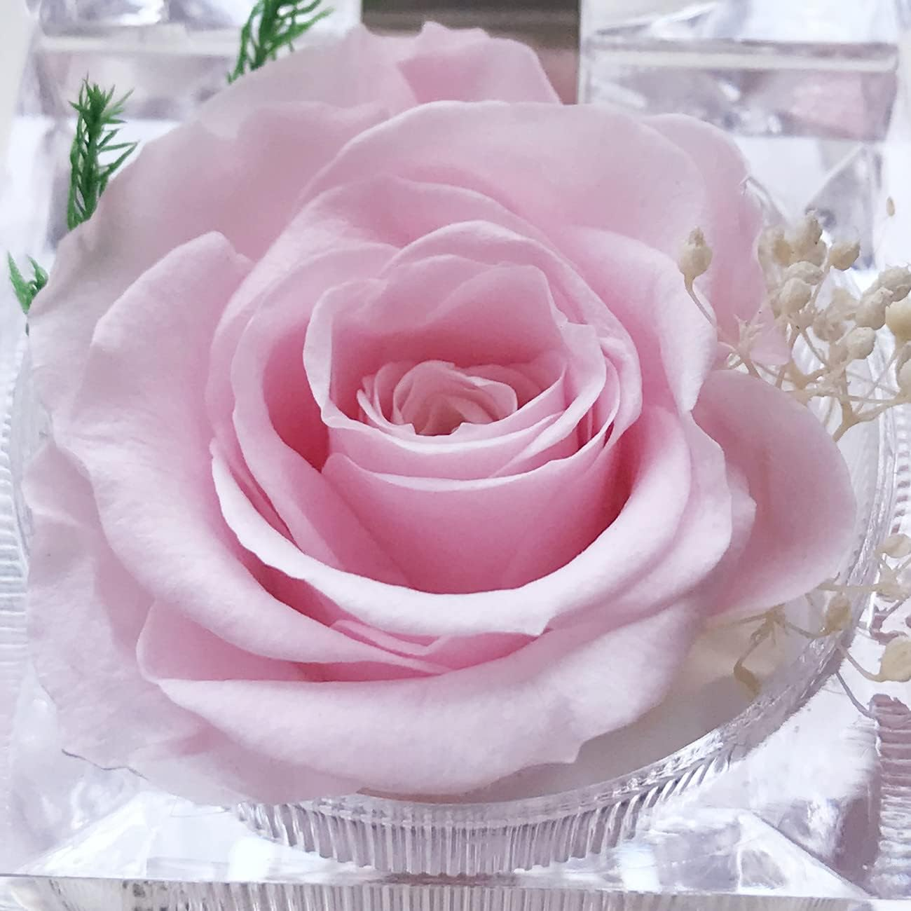 Preserved Rose Real Forever Rose in Mini Clear Ring Box, Eternal Flower Rose Gifts for Women Mom Girlfriend Grandma, Mothers Day, Anniversary, Valentines, Christmas, Birthday (Pink) image number 1