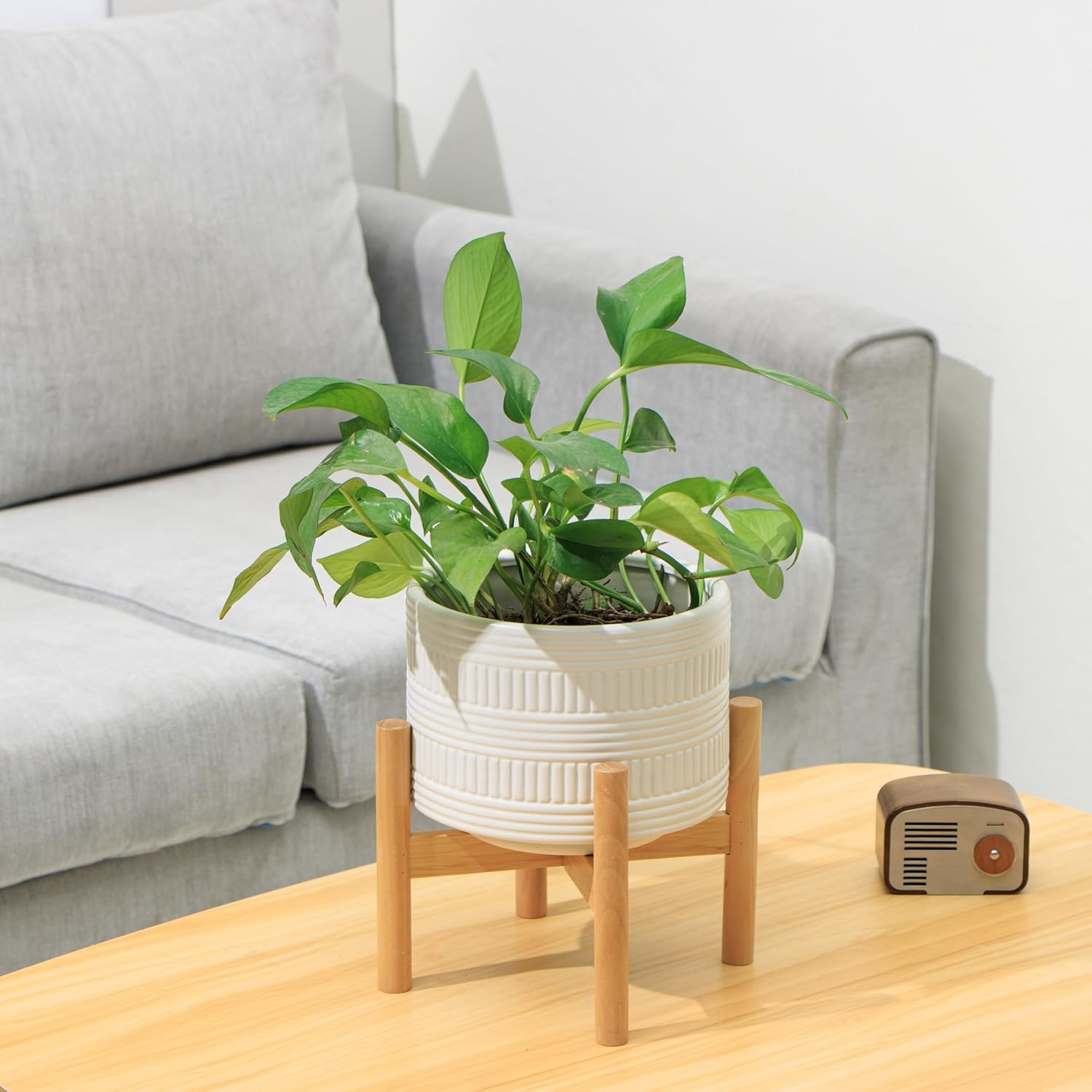 Kurrajong Farmhouse Ceramic Planter Pot with Wood Stand for Indoors (White) - White image number 2