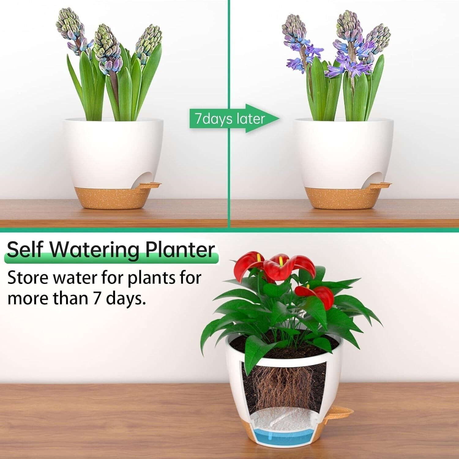 2 Pcs Self Watering Planter Garden Indoor Outdoor Plants Flower Pot 8 Inch White image number 6