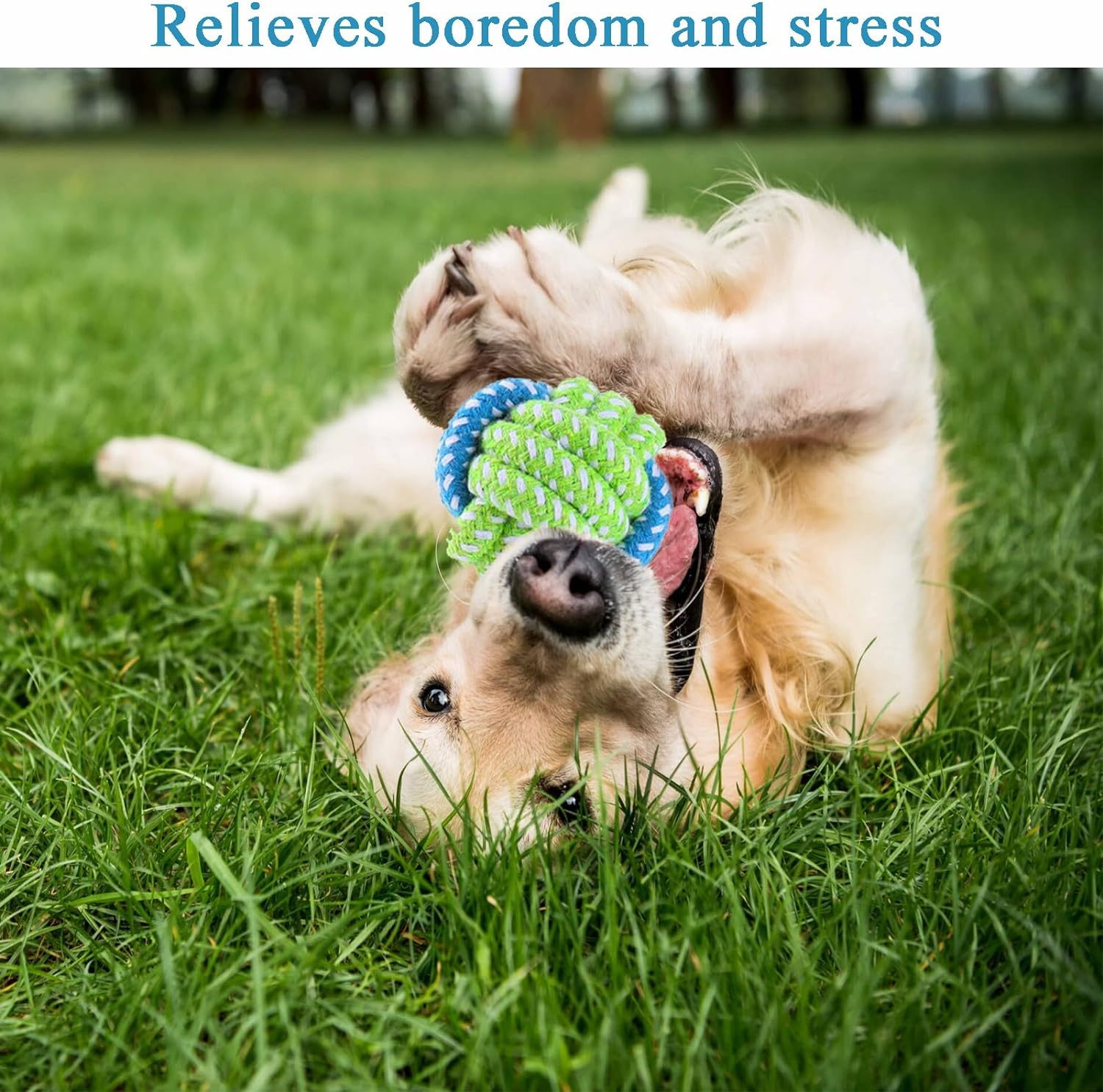 Dog Toys for Aggressive Chewers,13 Pack Dog Chew Toy,Teething Toys for Puppies,Medium,Durable Chew Toys for Small,Medium Dogs,Puppy Chew Toys,Indestructible Dog Rope Toys,Dog Squeaky Toys image number 1