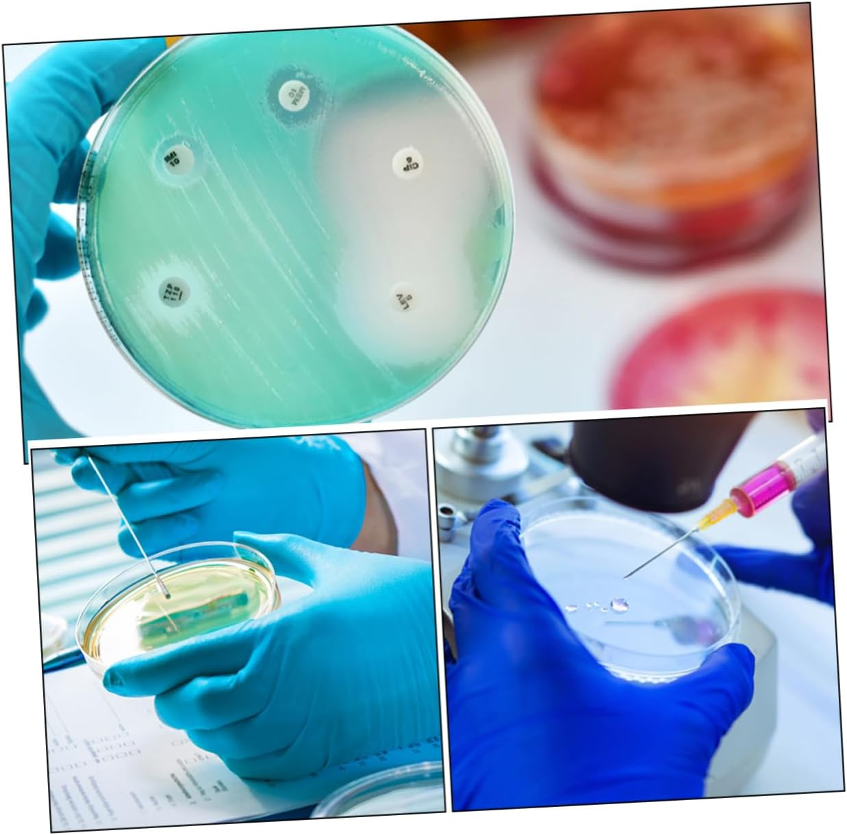 STOBOK 10Pcs Culture Plate Chemistry Petri Dish Science Petri Dishes Culture Dish Petri Dishes with Lid Culture Petri Dishes Tissue Culture Dish Plastic Reaction Plate with Cover image number 6