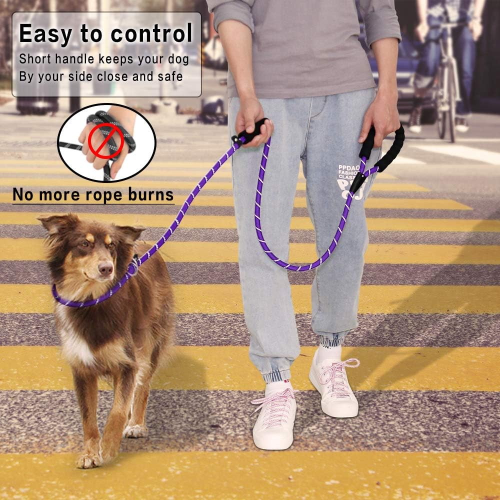 PLUTUS PET Slip Lead Dog Leash - Anti-Choking with Traffic Padded Two Handles, Reflective Strong Sturdy Heavy Duty Rope, 6FT Training for Medium Large Dogs, 6' Violet image number 4