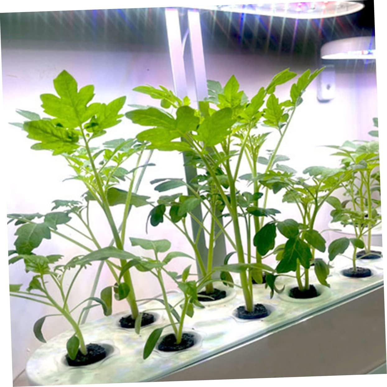 MERRYHAPY 10Pcs Hydroponic Grow Sponges Cone Shape Soilless Cultivation Supplies Easy Installation Strong Water Absorption Gardening Tools for Vegetable Plants image number 1