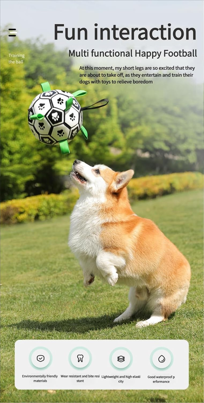 Ultimate Fun with Interactive Dog Balls - Perfect Toys for All Dogs! image number 2
