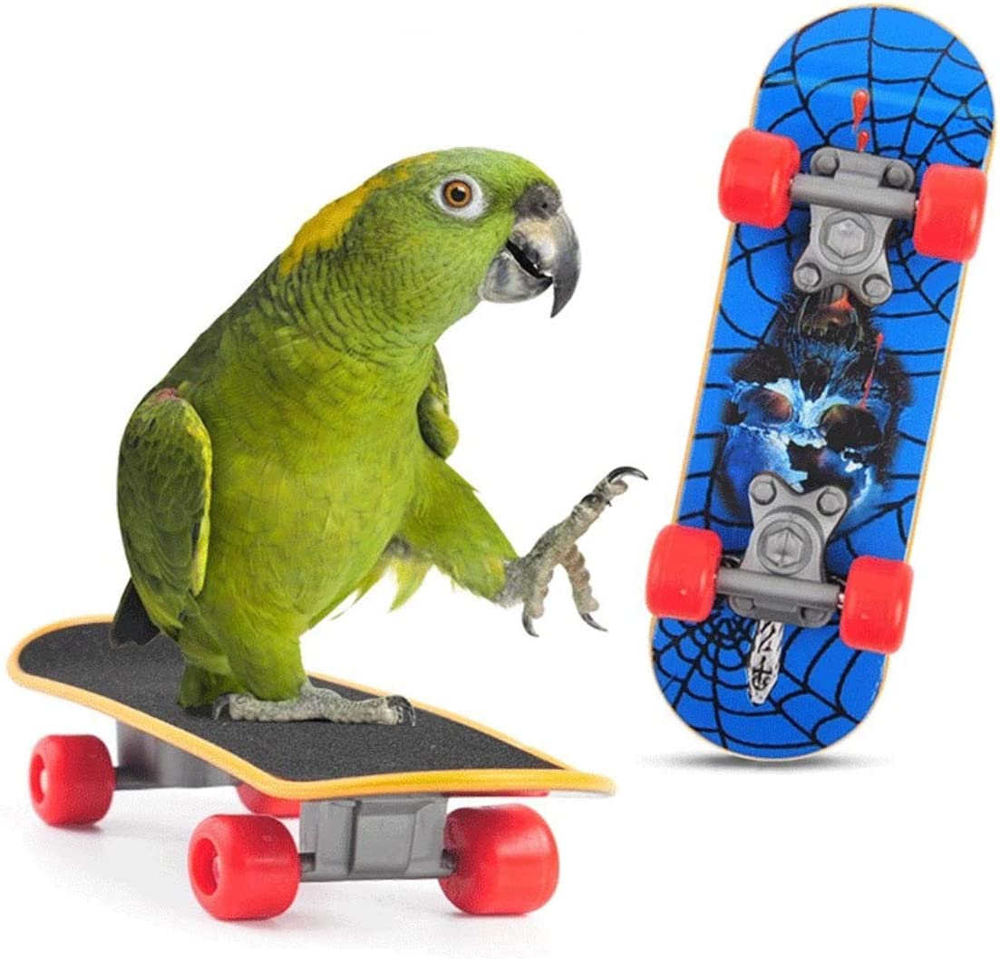 5Pcs Bird Parrot Intelligence Toys, Interactive Playing Training Toy Set, Including Mini Shopping Cart, Training Rings, Skateboard, Basketball Hoop and Ball, for Parrot Parakeet Cockatiel Lovebird image number 6