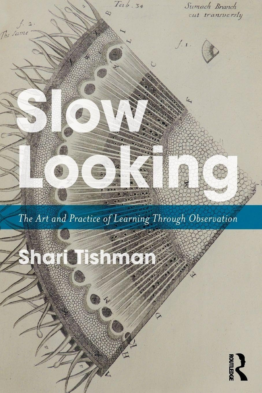 Slow Looking: the Art and Practice of Learning through Observation image number 1