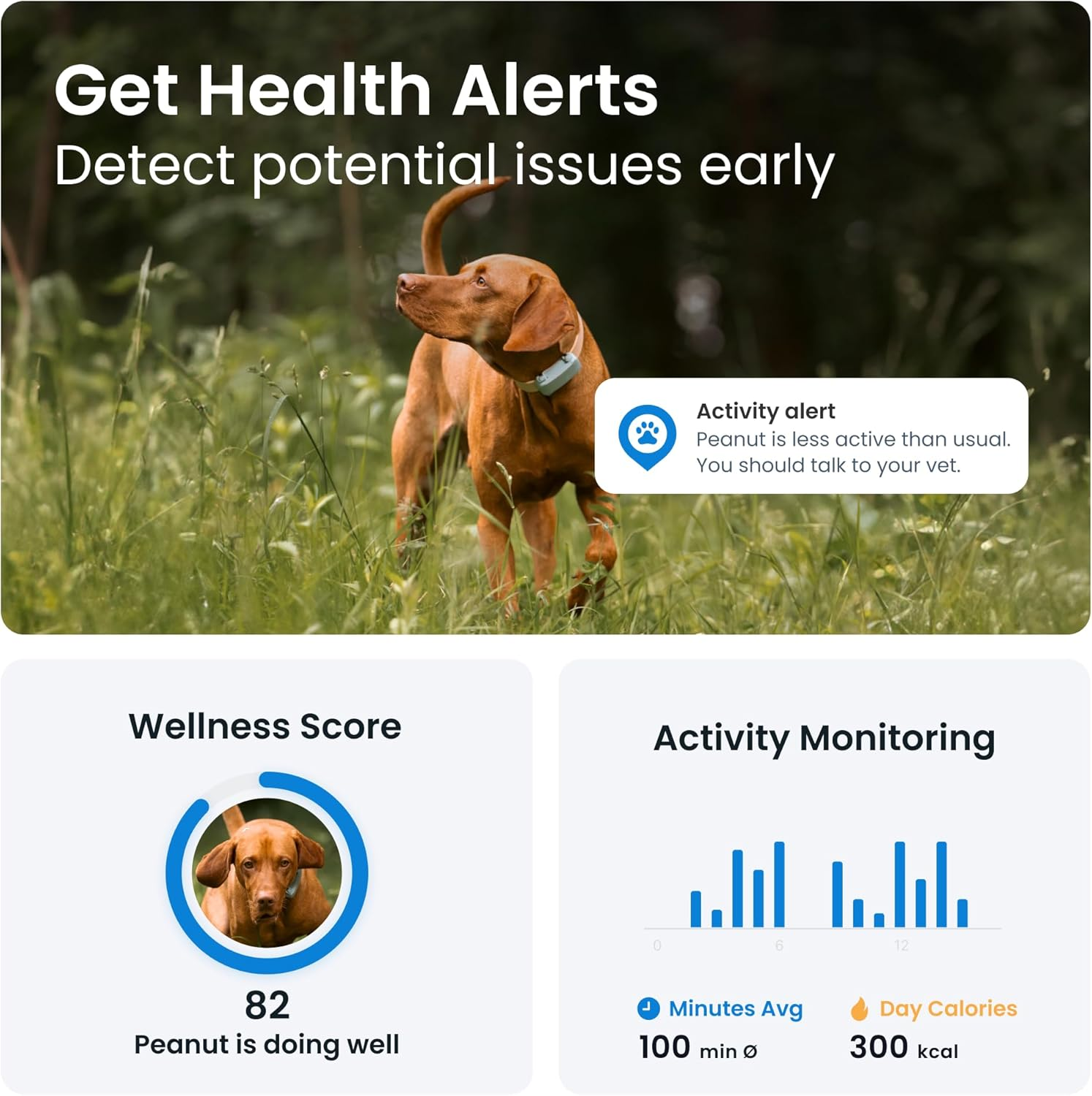 Tractive GPS Dog Tracker | Market Leader | Real-Time Location Tracking | Escape Alerts | Activity Monitoring | Health Alerts | Bark Monitoring (Mint) image number 1