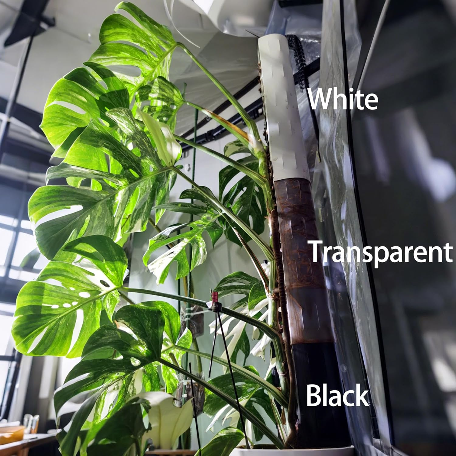 Haispring 6 Pcs 17 Inch Plastic Moss Pole for Plants Monstera,Designed Specifically for Climbing Plants, Stackable Plant Support for Indoor Plants - 4, Black image number 7