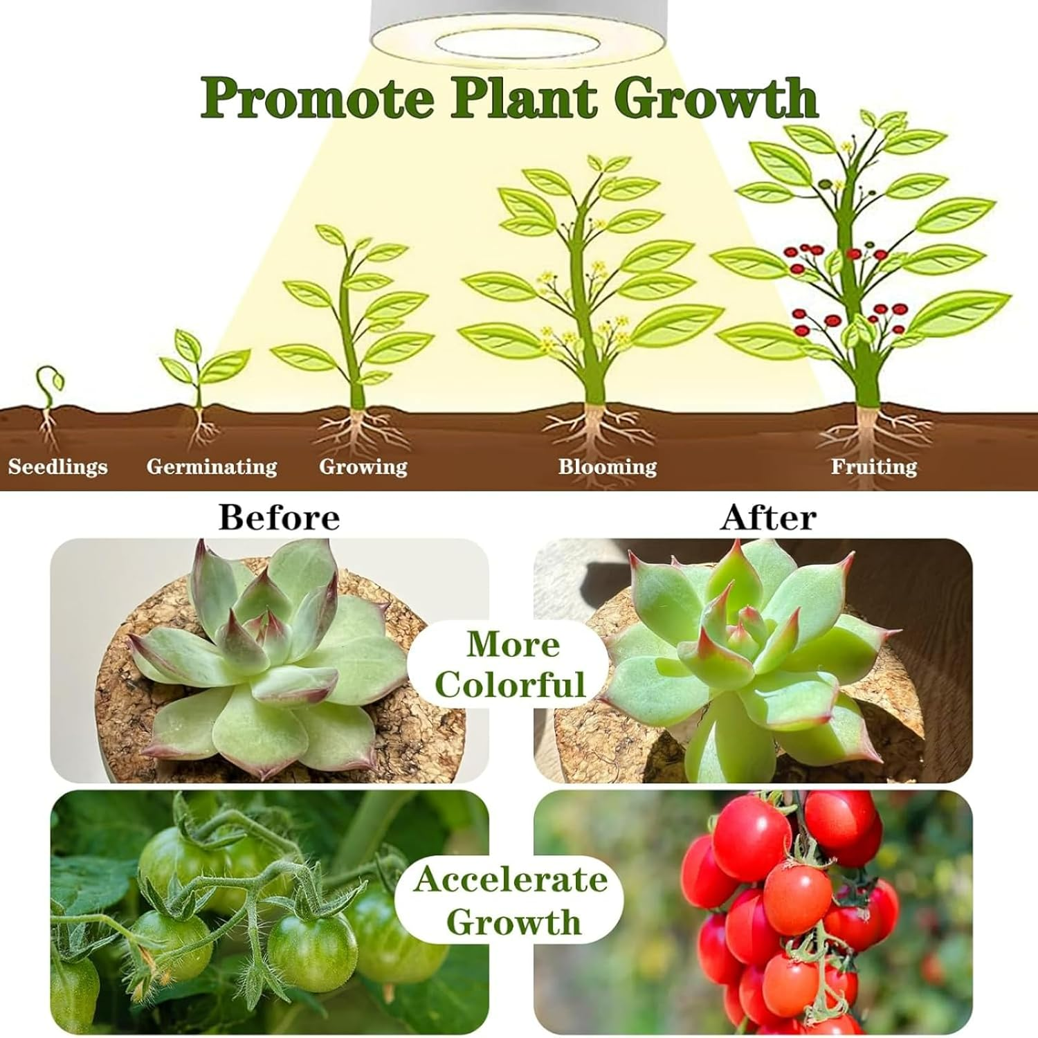 Plant Grow Light, 2Pack LED Growing Lamp Full Spectrum for Indoor Plant, Height Adjustable Plant Light with Auto On/Off Timer 3/9/12H,4 Dimmable Brightness for Small Plant, Black image number 5