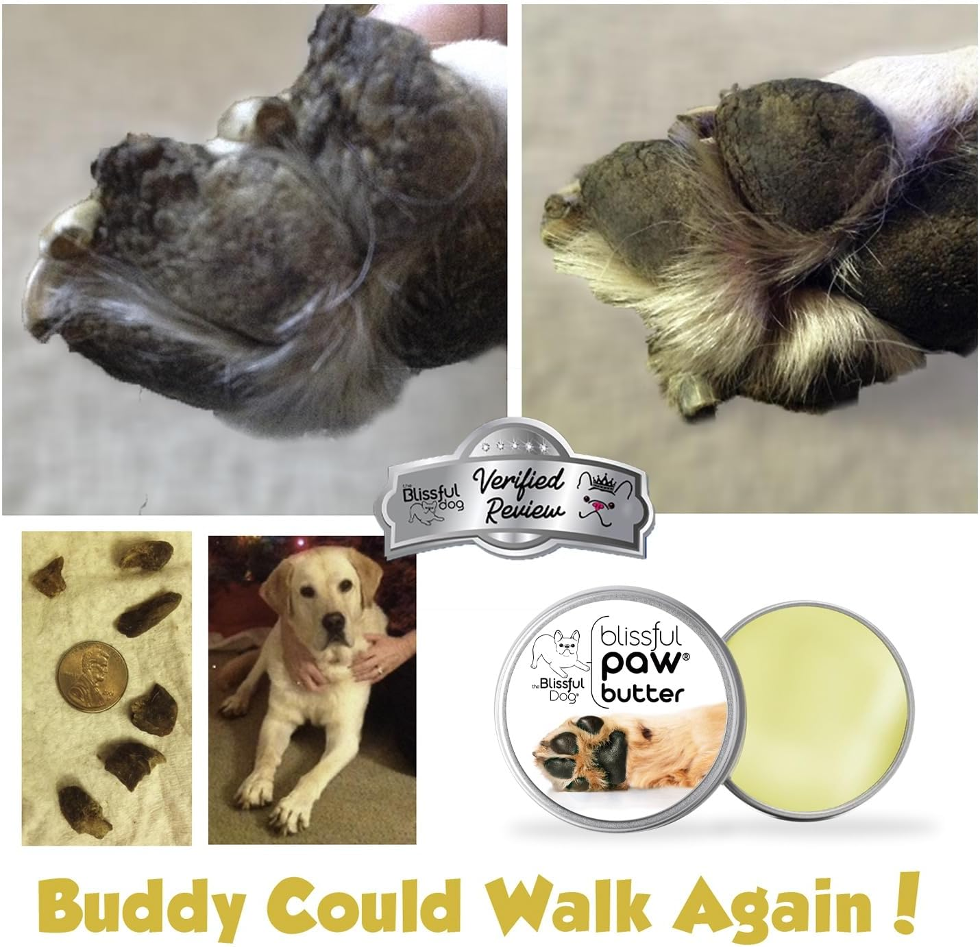 The Blissful Dog Paw Butter for Your Dog'S Rough and Dry Paws, 1-Ounce image number 6