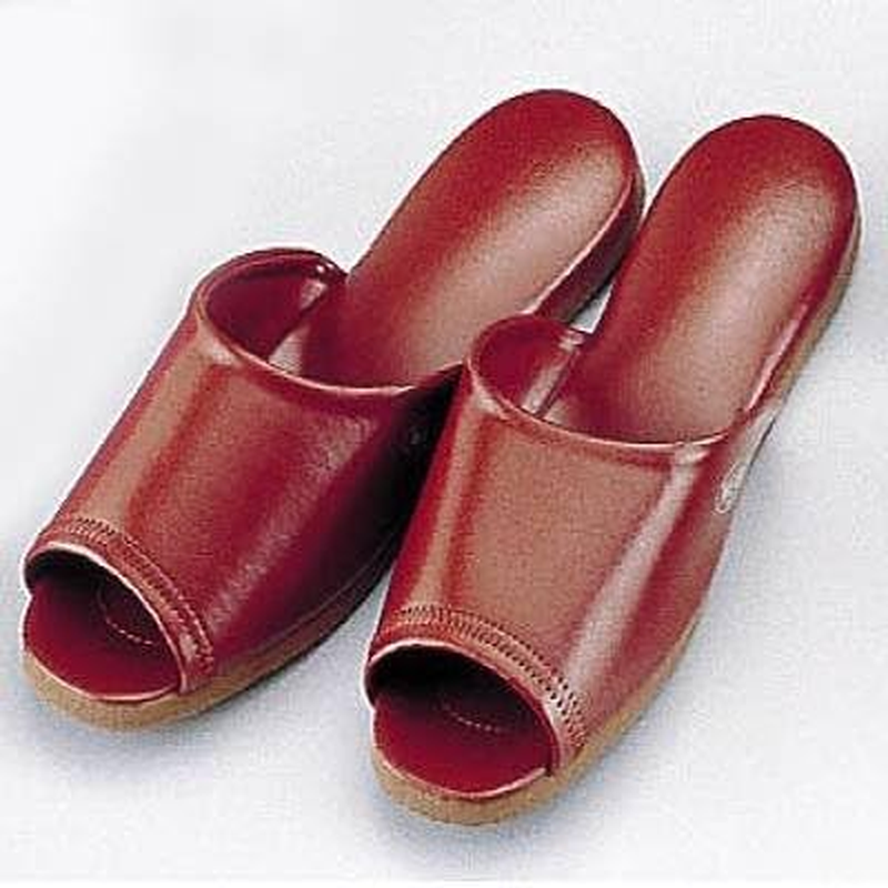 Sanwa Antibacterial Front Opening DX Slippers