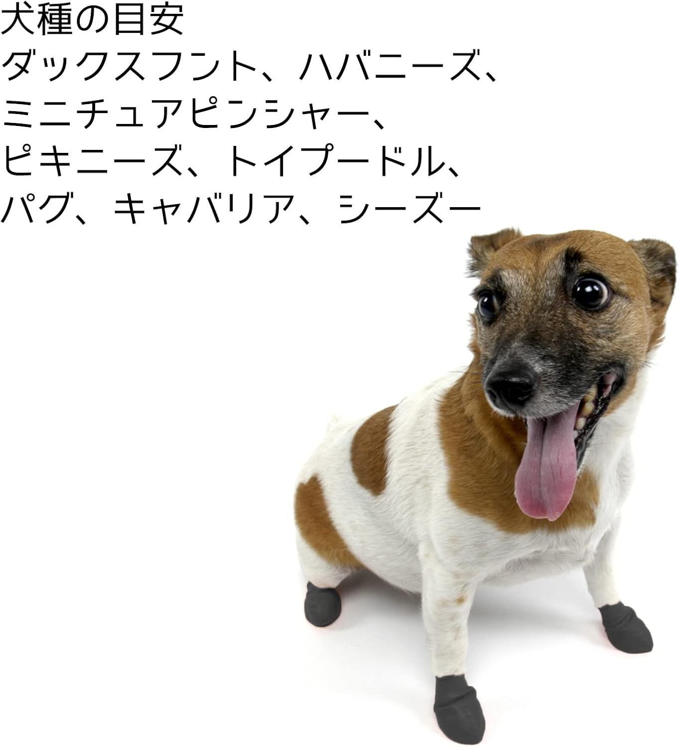 PAWZ Rubber Dog Boots Japanese Limited Package Black XS Size X 12 Pieces image number 3