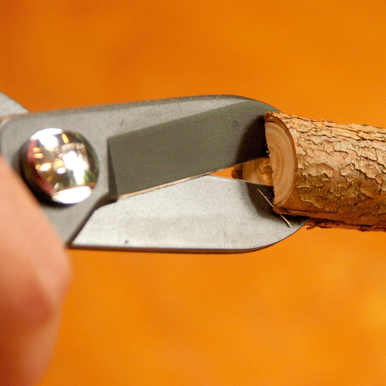 Ars Corporation FP-17-BK Commercial Flower Scissors Fleur (Black) image number 2