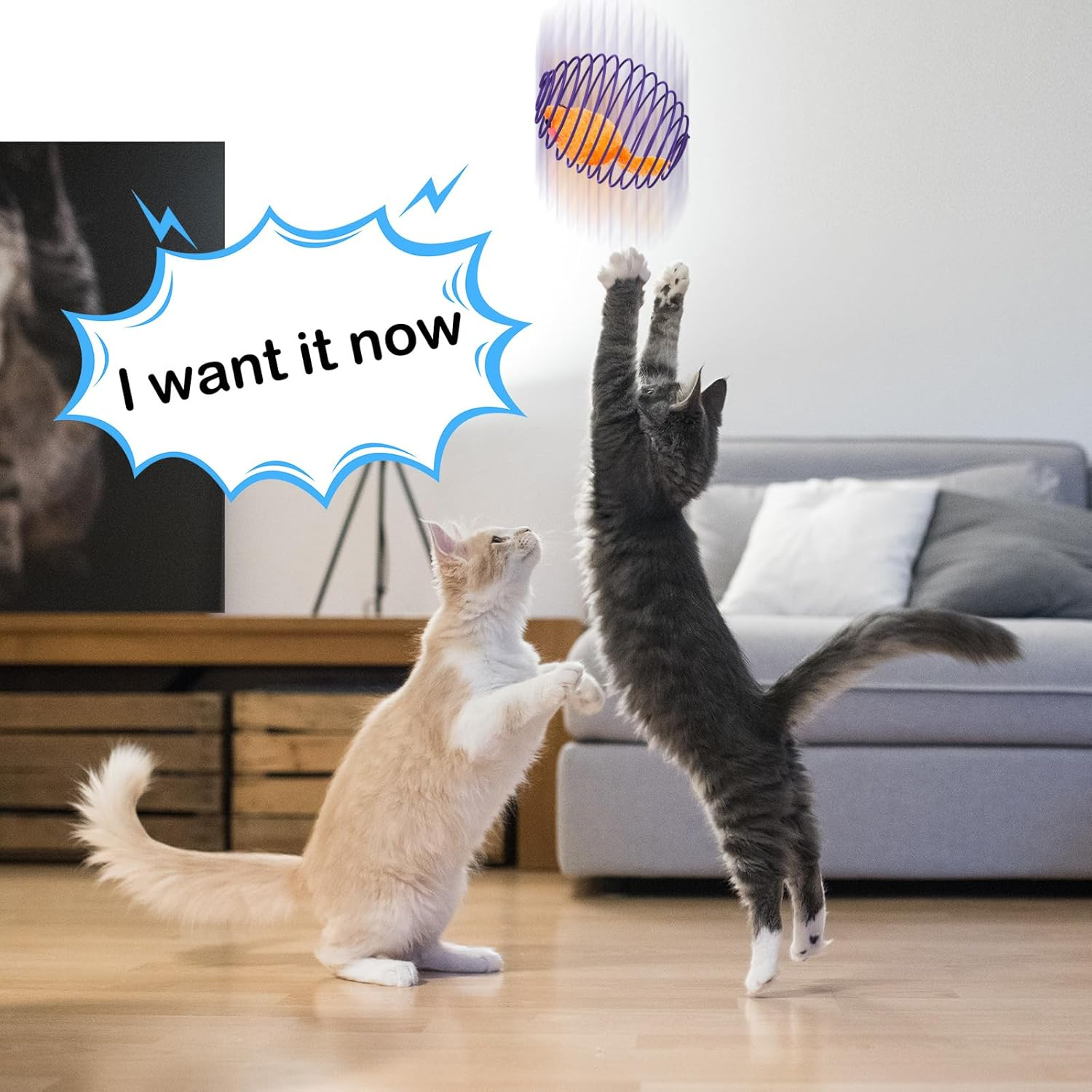 Jecery 5 Pcs Cat Spring Balls Stretchable Springs Toys Interactive Rolling Balls Colorful Playful Coils Spring Action Toy Caged Rats for Kitten Cat Pet Supplies Indoor image number 2