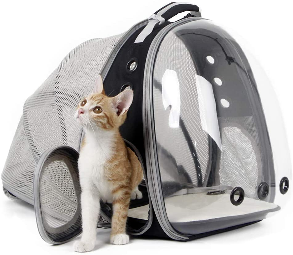 Clear Cat Backpack Carrier, Back Expandable Pet Backpack for Small Dog, Space Capsule Bubble Transparent Kitten Carry Bag for Traveling and Hiking, Airline Approved