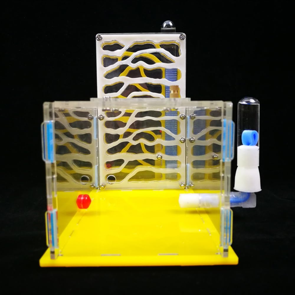 ACAGALA Ant Farm Habitat Kit Acrylic T-Shaped DIY Ant Nest with Feeding Chamber, Educational Insect & Unique Birthday for Adults Kids image number 5