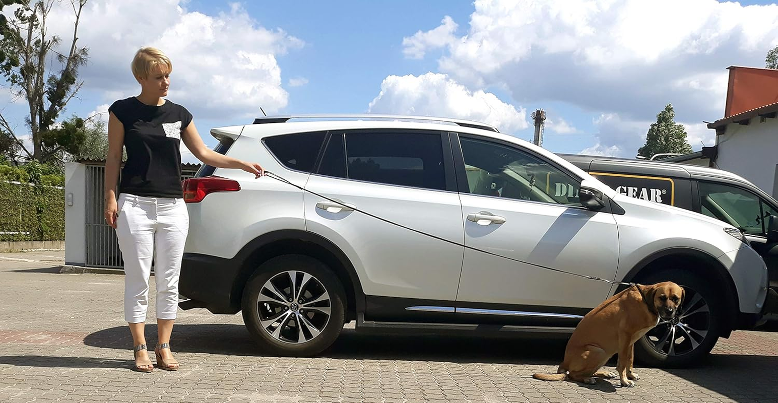 Dingo Soft Leather Show Lead with Braided Handle, Handmade, Dog Exhibition Leash, Brown 10700 - Brown image number 2