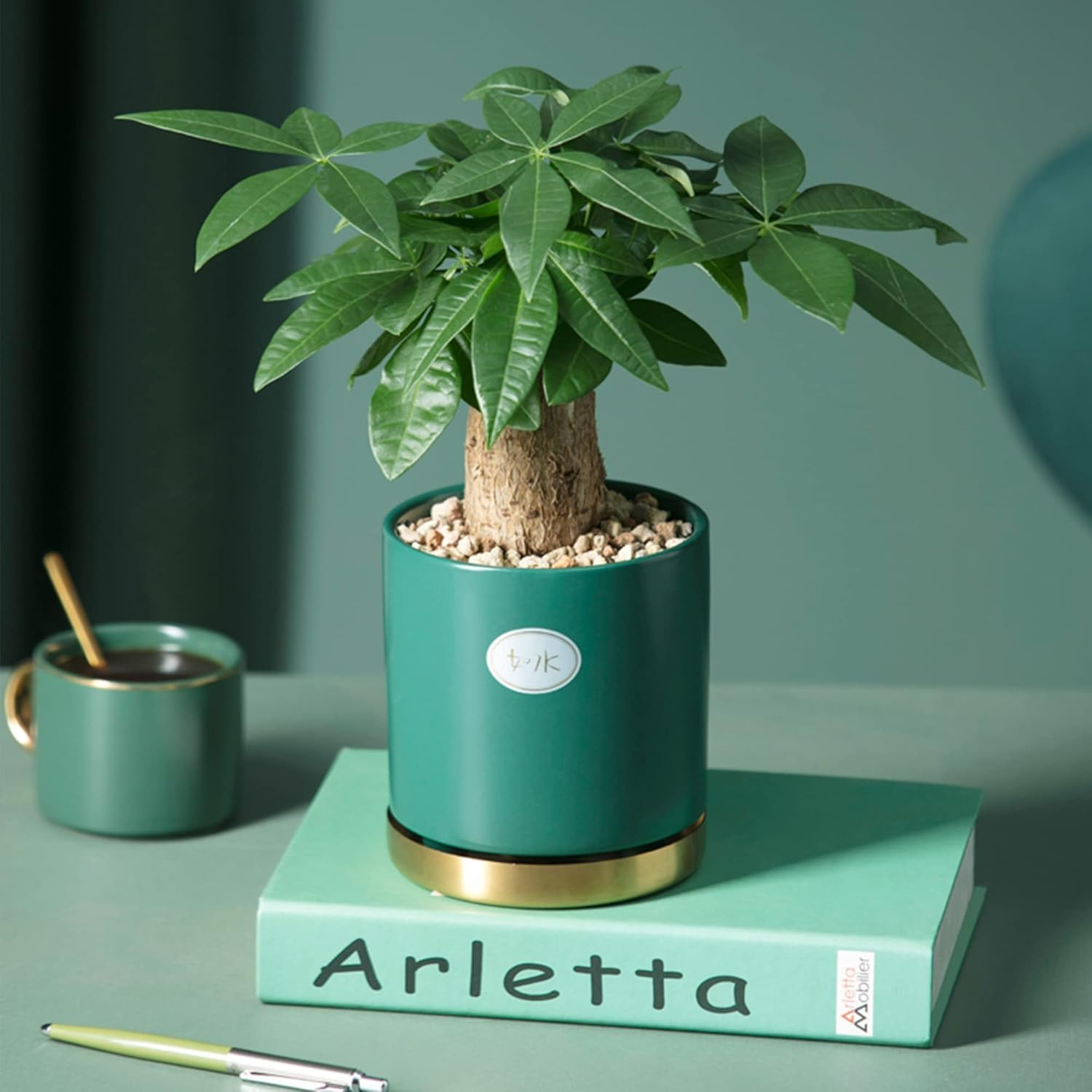 Cactus Pea Gravel Rocks,4-6Mm Pebbles for Indoor Plants, Natural Succulent Rock and River Rocks Decorative for Aquariums, Vases, Terrarium, Outdoor Gardening, Top Dressing for Potted Plants image number 5